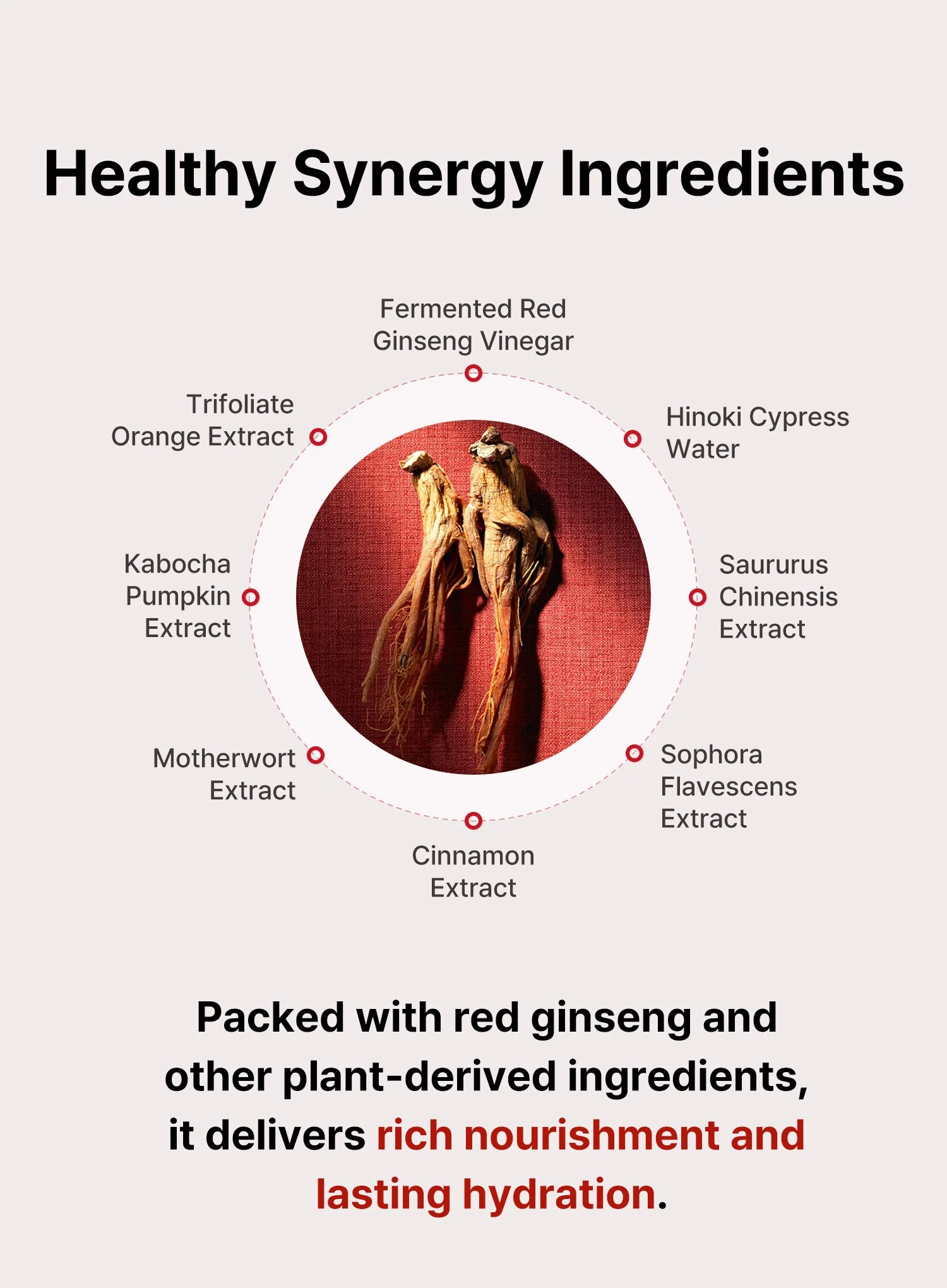 Bonyongo Red Ginseng Vinegar Foam Cleansing (120ml) - Image 6