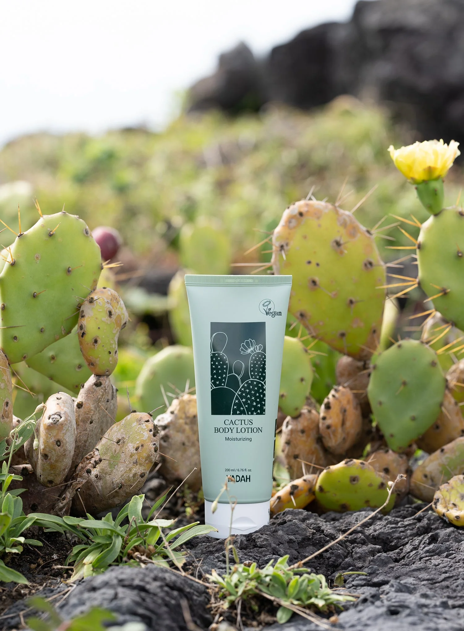 Cactus Body Lotion (200ml) - Image 3