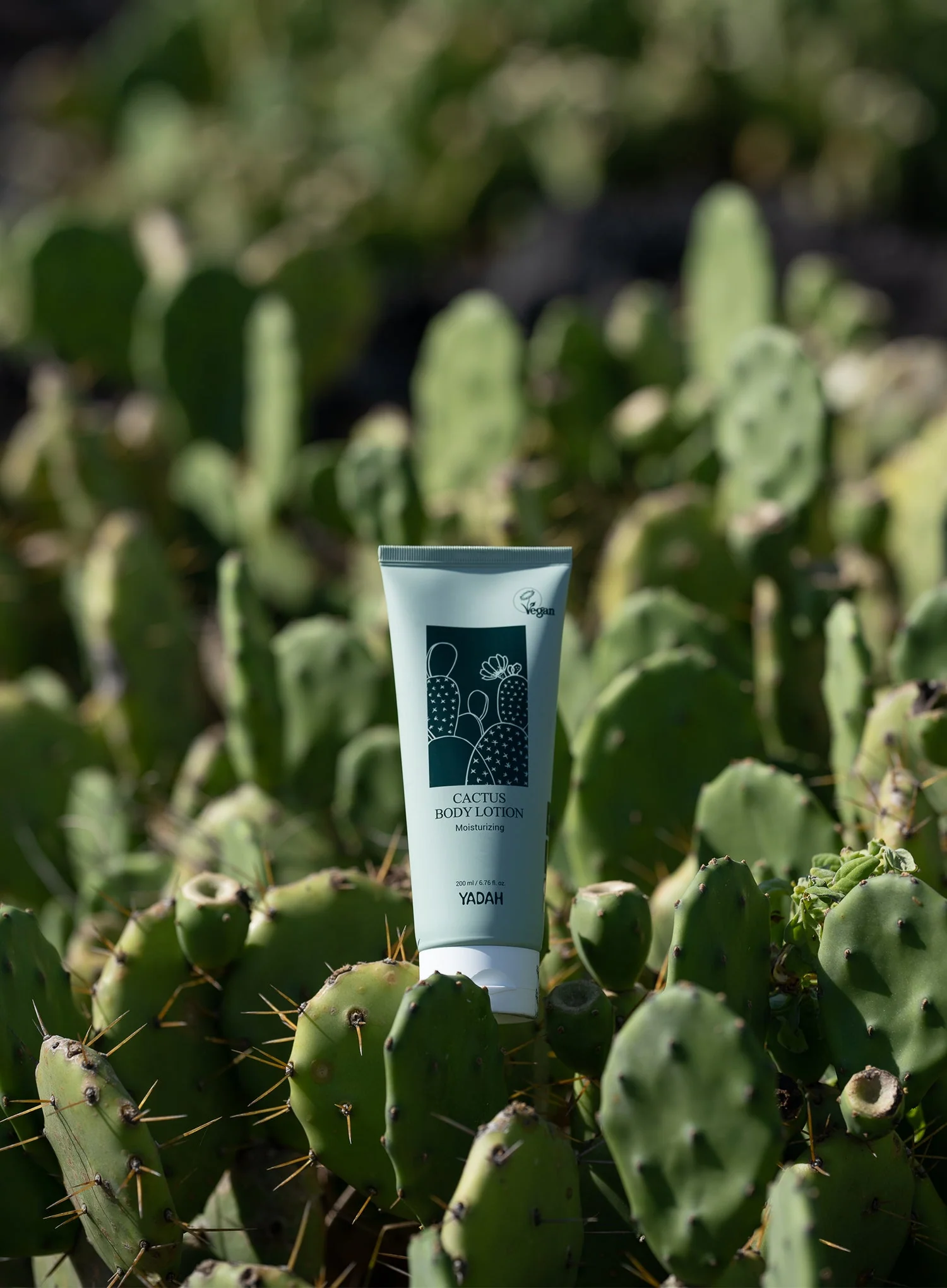 Cactus Body Lotion (200ml) - Image 5