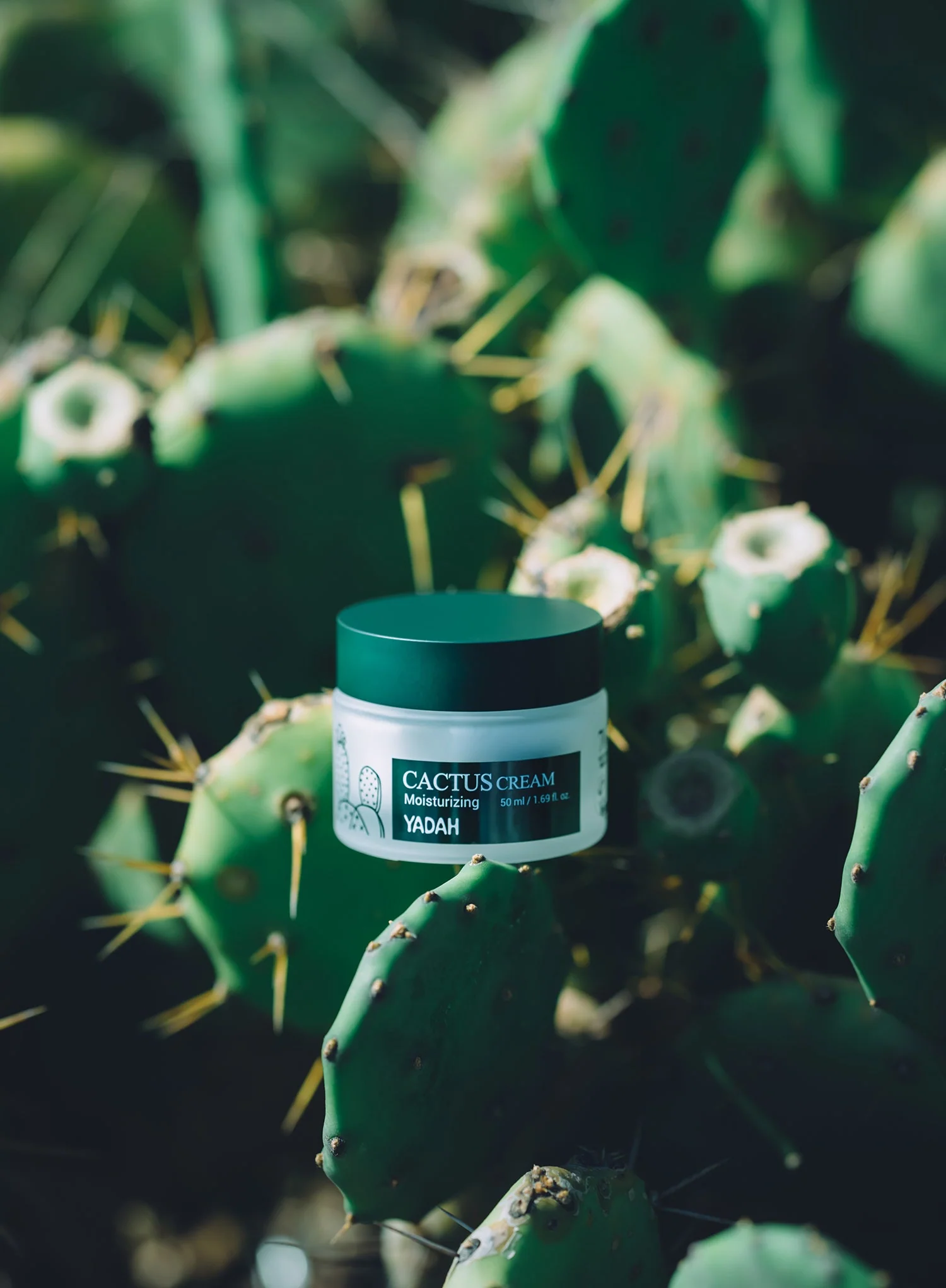 Cactus Cream (50ml) - Image 3
