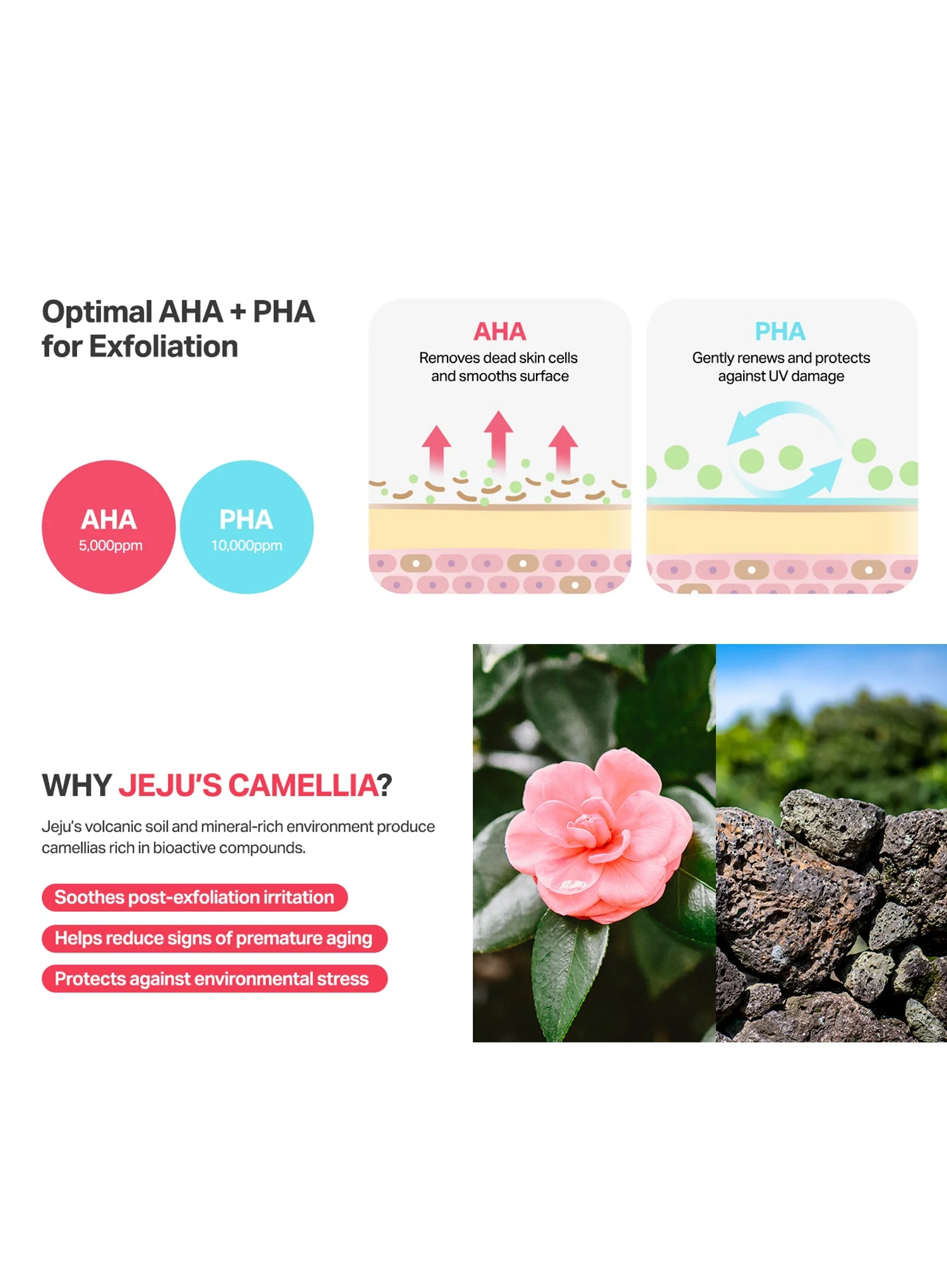 Camellia Clear Serum (30ml) - Image 4