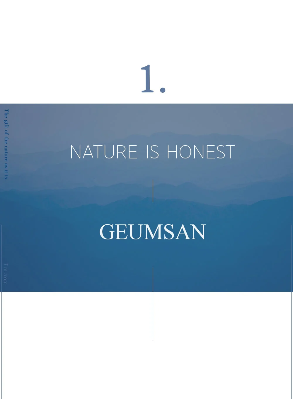 Ginseng Mask (120g) - Image 7