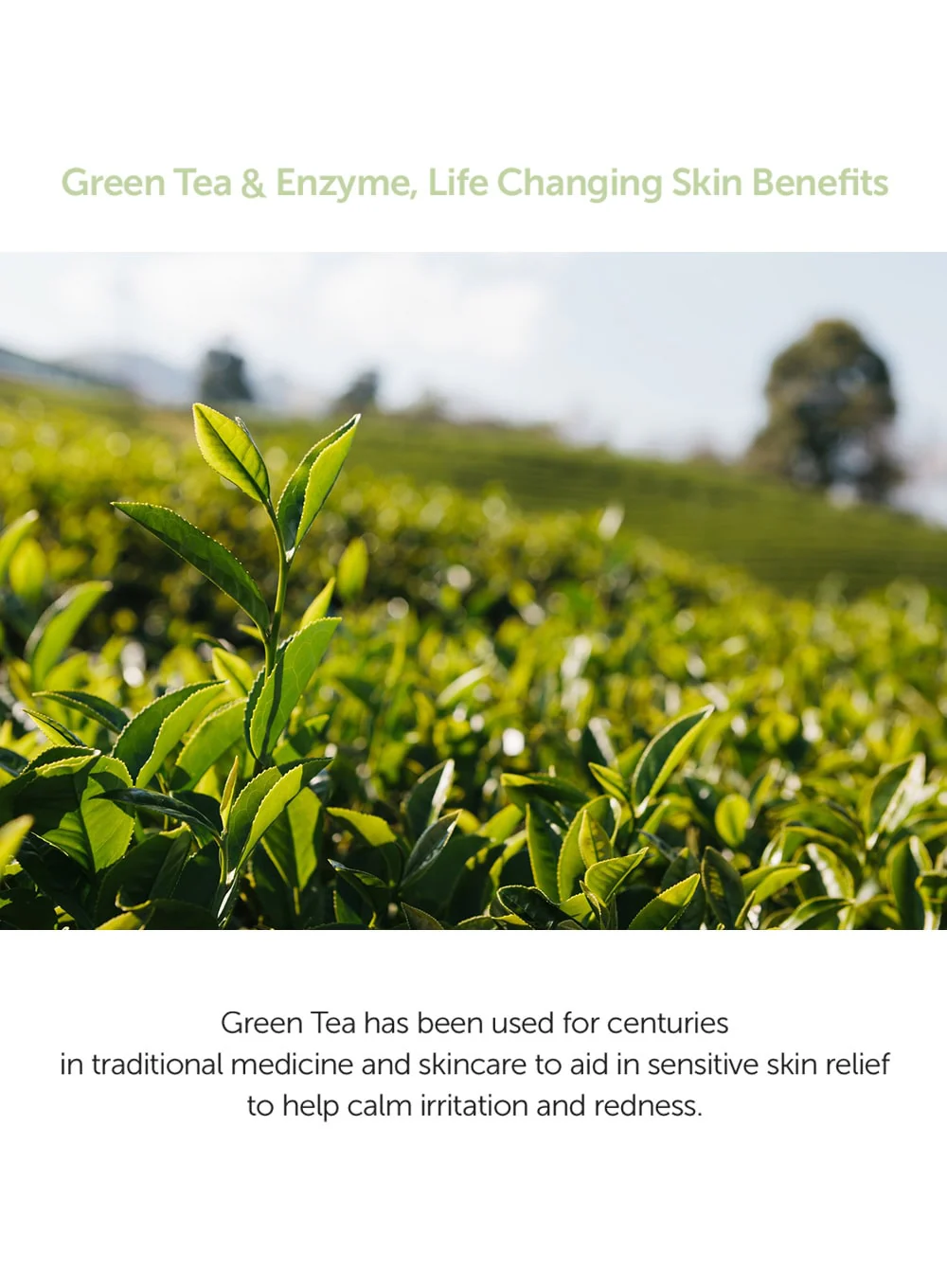 Green Tea & Enzyme Powder Wash (110g) - Image 5
