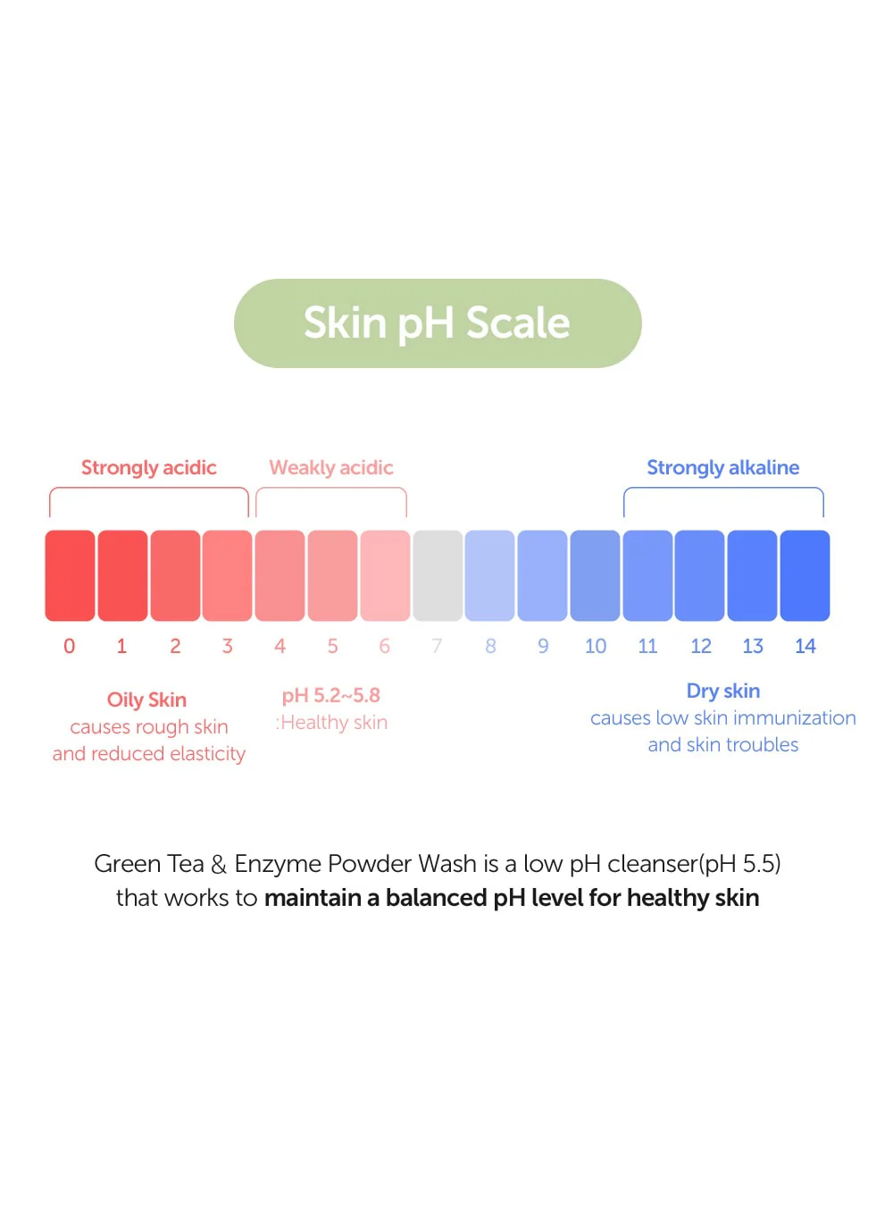 Green Tea & Enzyme Powder Wash (110g) - Image 8