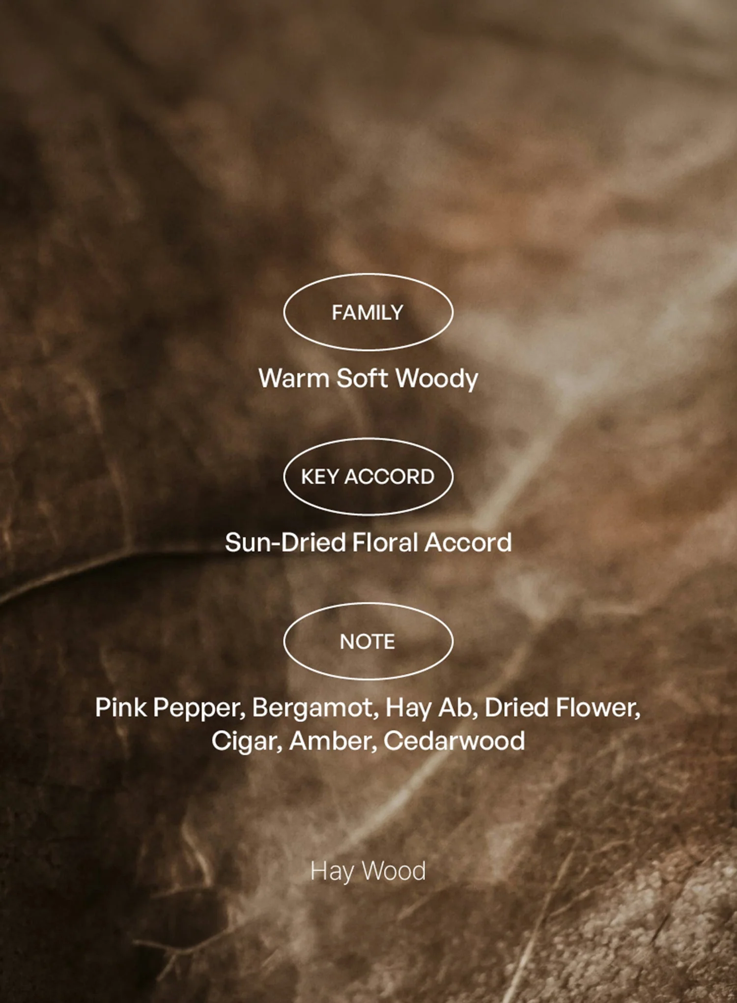 Hay Wood ; Andong EDT (50ml) - Image 4