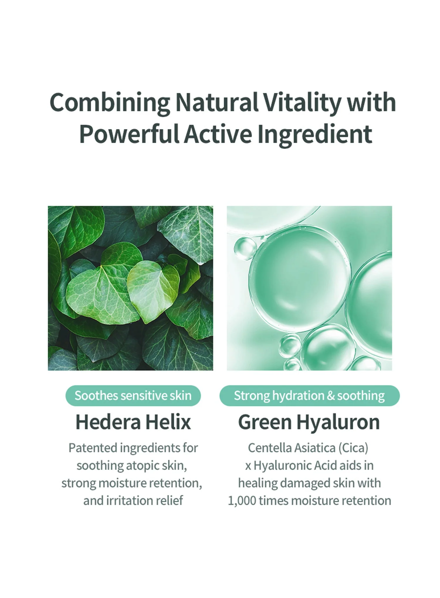 Hedera Helix Green Hyaluron 6s Moisture Cream (50ml) - Image 6