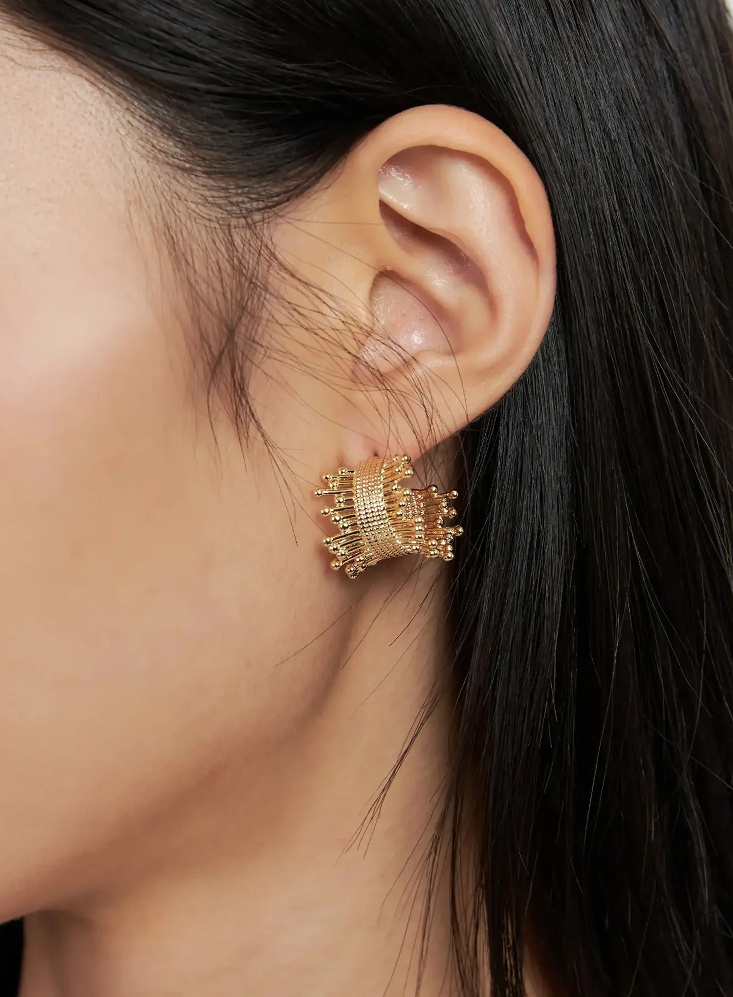 Modern Chic Statement Earrings IS515