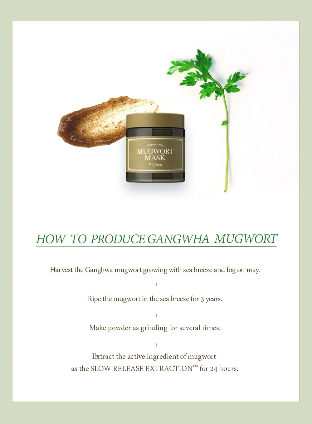 Mugwort Mask (110g) - Image 11