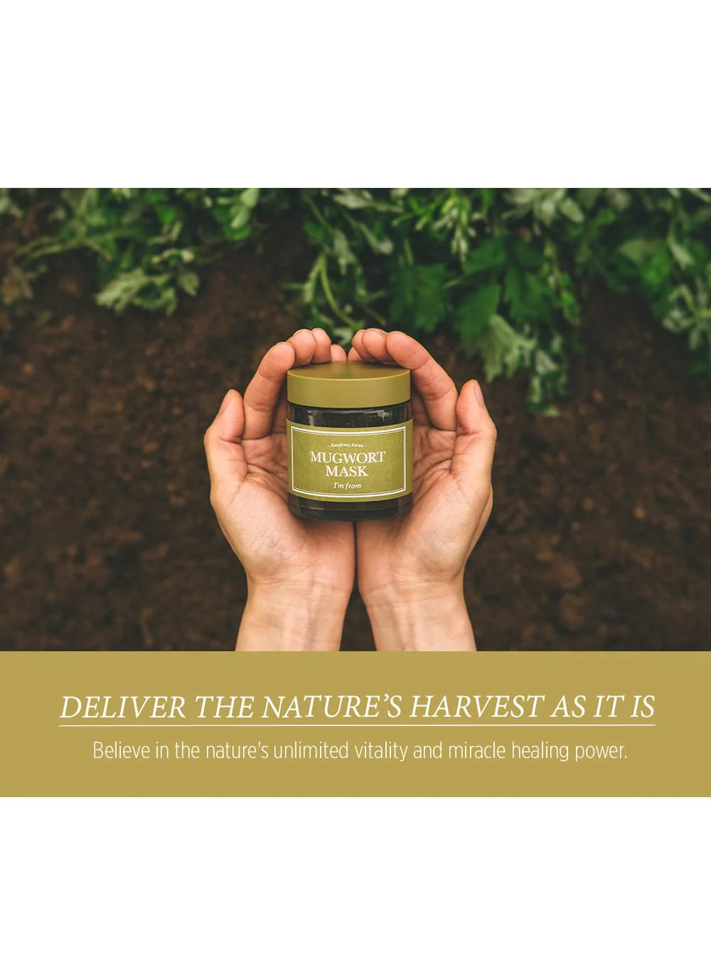 Mugwort Mask (110g) - Image 12