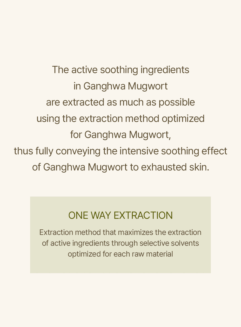 Mugwort Sheet Mask (23ml / 5ea) - Image 5