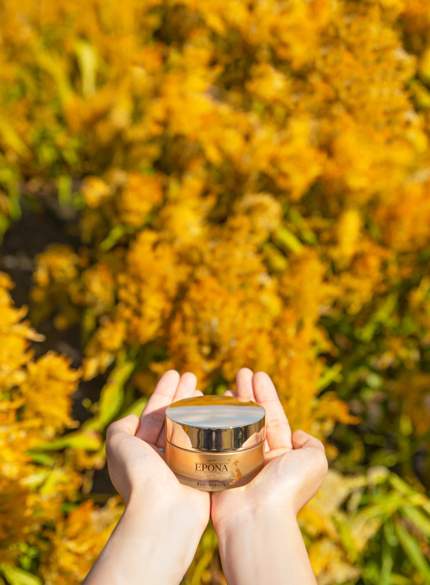 Red Ginseng Gold Whitening Cream (50ml) - Image 3