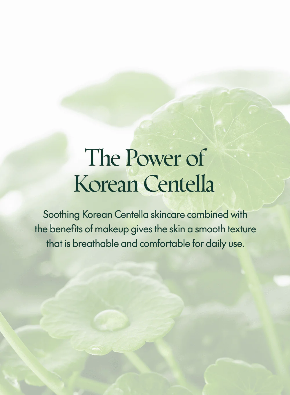 Wonder Releaf Centella BB Cushion (15g * 2ea) - Image 12